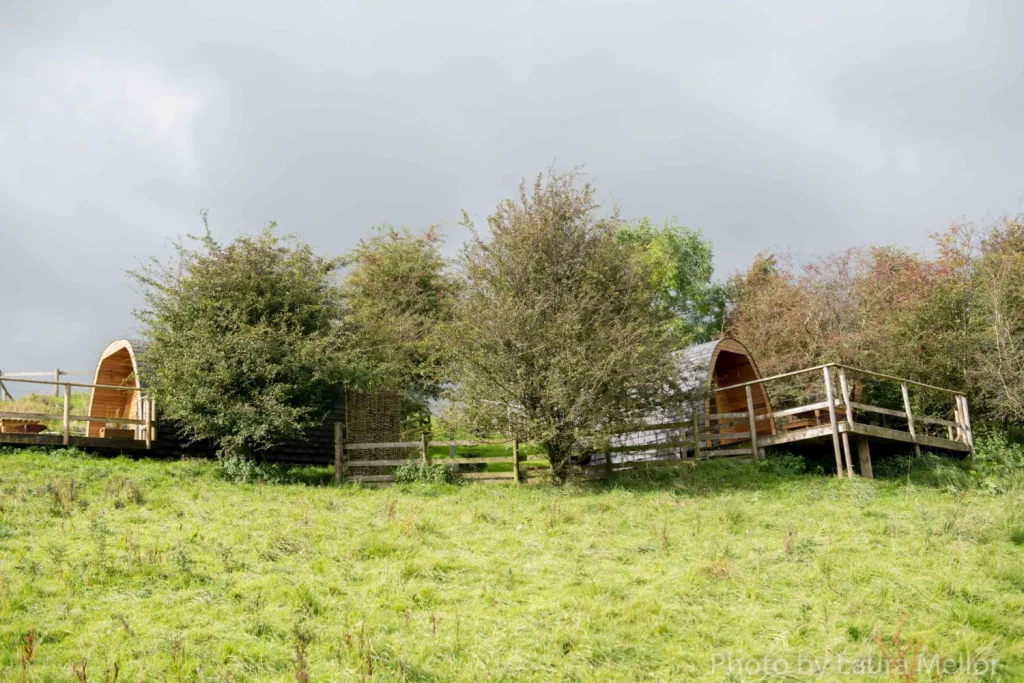 Dog friendly pods Ashbourne Peak District | Stay on a farm